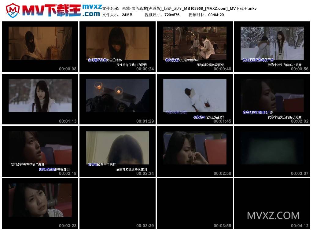 朱雅-黑色森林[声道版]_国语_流行_MB103958